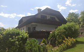 Apartments Skok